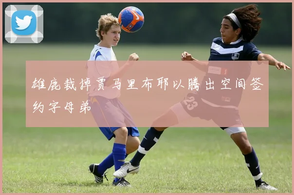 雄鹿裁掉贾马里布耶以腾出空间签约字母弟