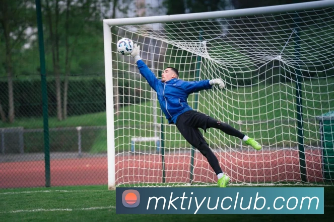 MK体育发展历程