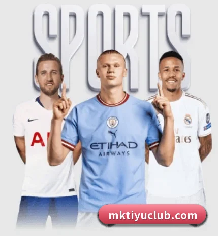 MK体育围绕看球场景设计的核心服务（MKSPORTS）
